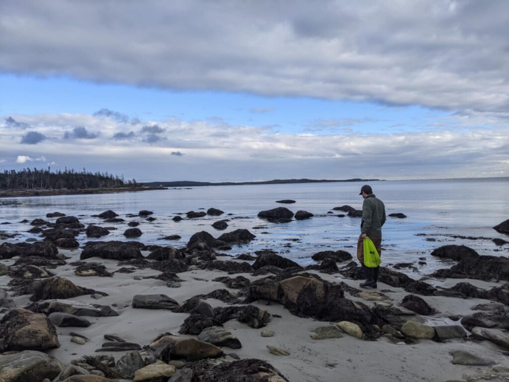 0c9c205d 417c 467b 821b f831104134bf