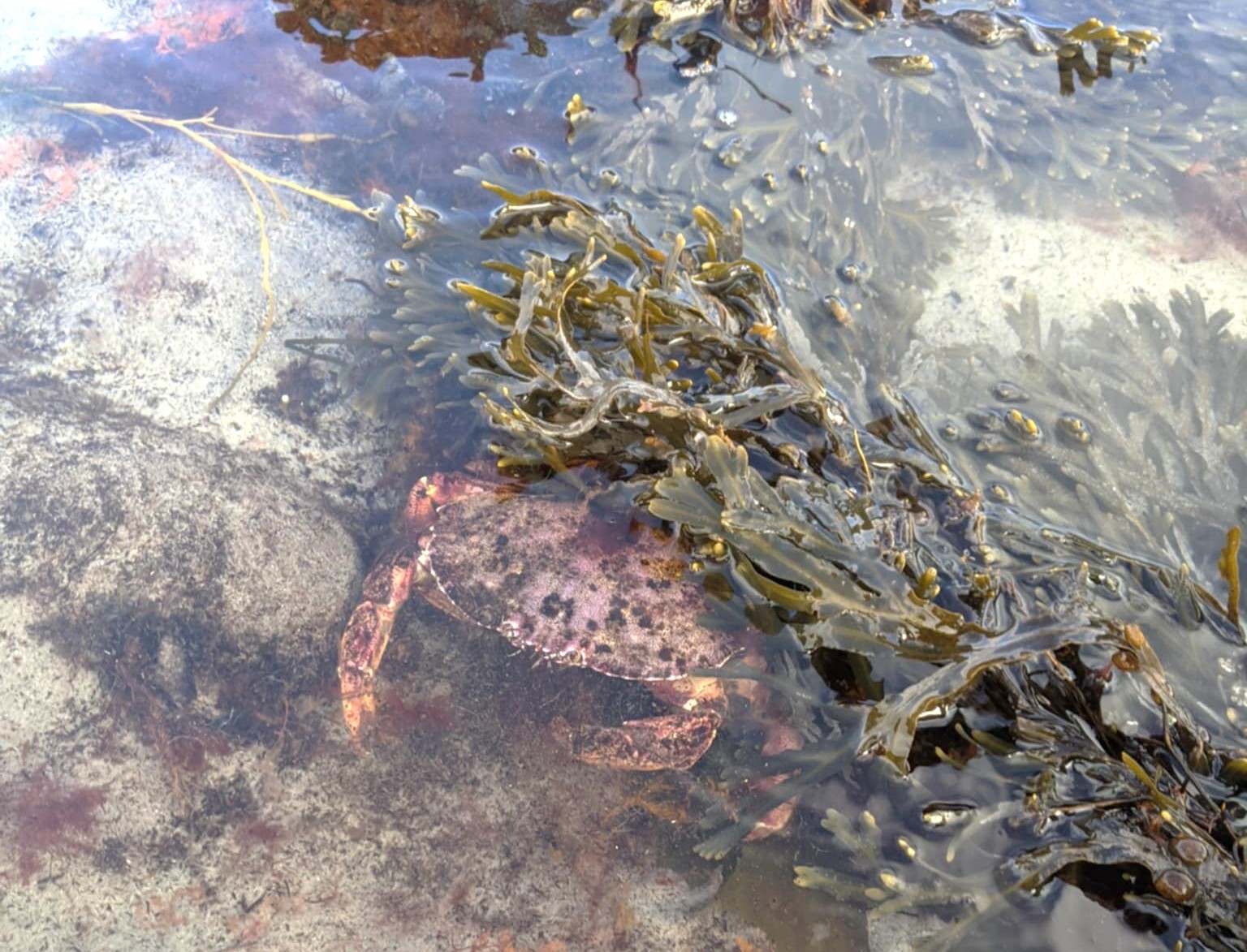 b848d2a6 047c 4702 af18 d3340ab6e289