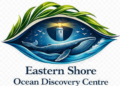 ocean discovery centre small 23, 2026, 10 56 20 am (1)