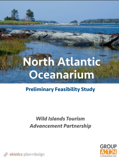Rediscovering a Vision: A Feasibility Study Worth Revisiting feasibility report